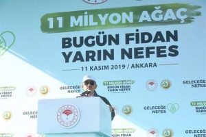 dd87ef7e642ff6eadf93