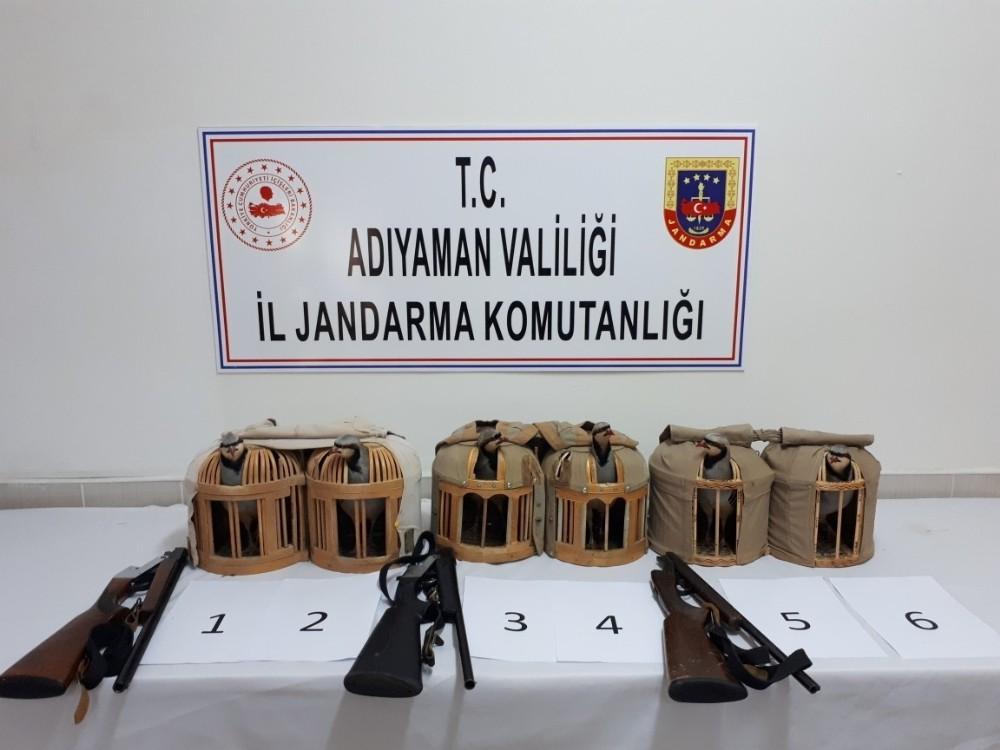 Durdurulan araçta 7 keklik ele geçirildi