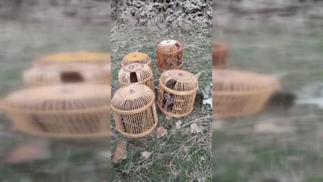 Mardin’de tuzakla keklik avlayan 5 kişiye rekor ceza