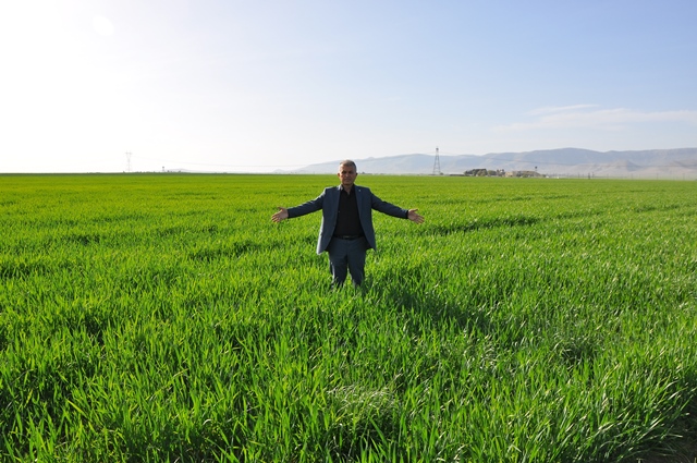 Mardin’de Hububatçılardan “elektrik” talebi