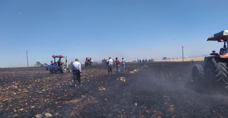 Biçerdöverden çıkan kıvılcımlar hububat tarlasını küle çevirdi