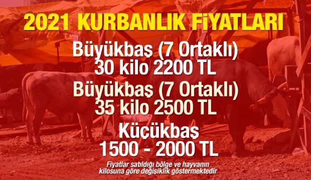 Kurbanlık fiyatları ne kadar? 2021 Büyükbaş ve Küçükbaş güncel kurbanlık fiyatları!
