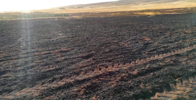 Mardin’de çiftçilerin bir yıllık emekleri 2 saatte kül oldu