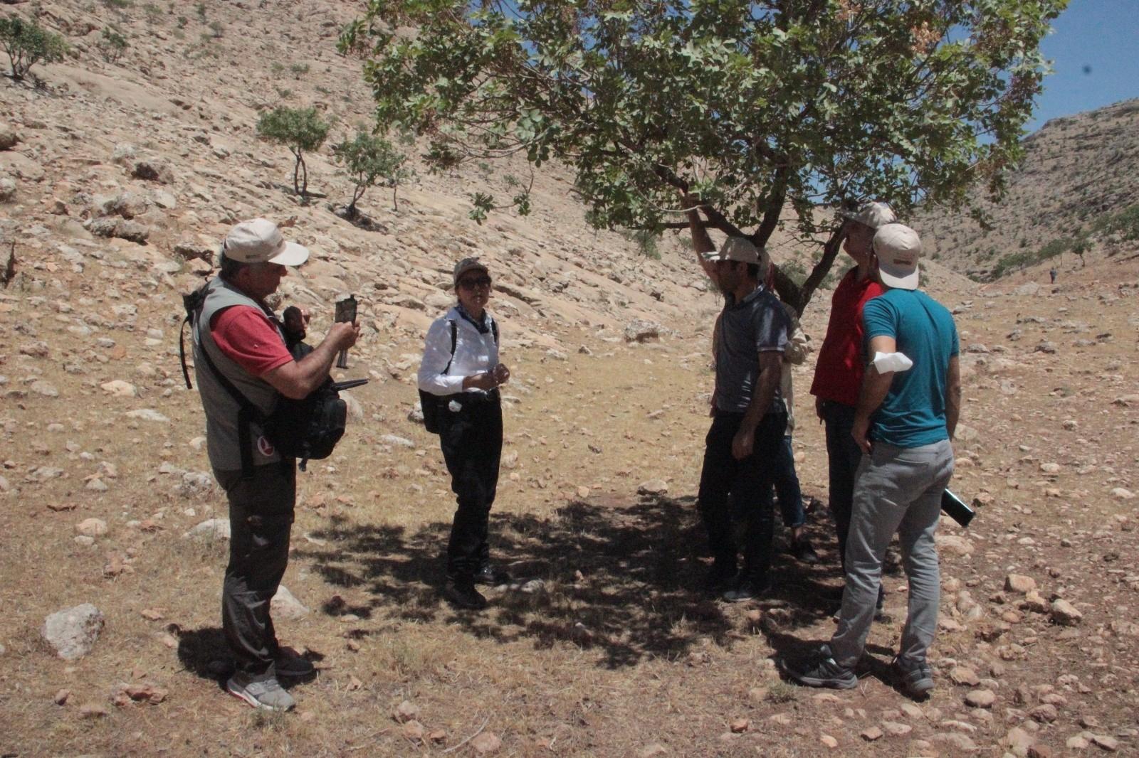 Şanlıurfa’nın bozkırlarının biyolojik yapısı tanıtıldı