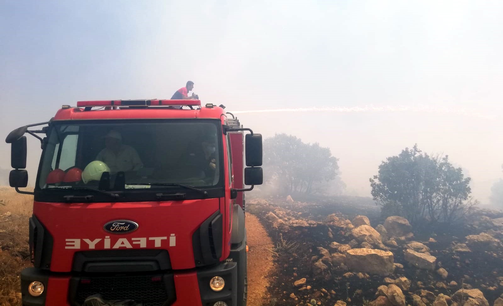 Mardin’de 200 dönümlük alan küle döndü