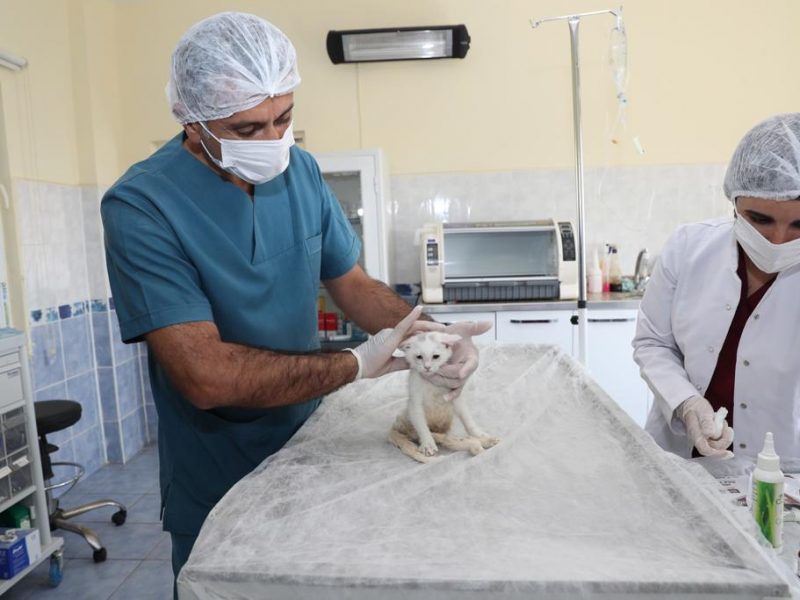 WhatsApp Image 2021-07-15 at 16.08.43 (4)