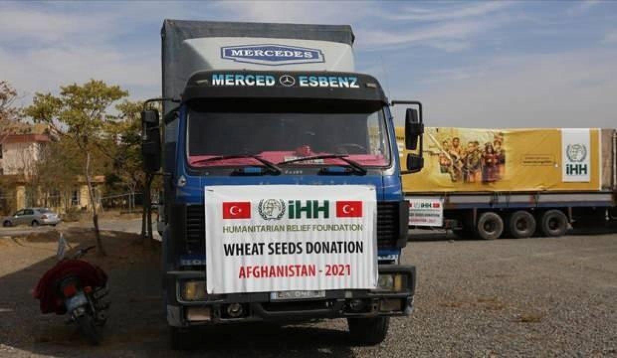 İHH Afganistan’da 100 ton buğday tohumu yardımı yaptı