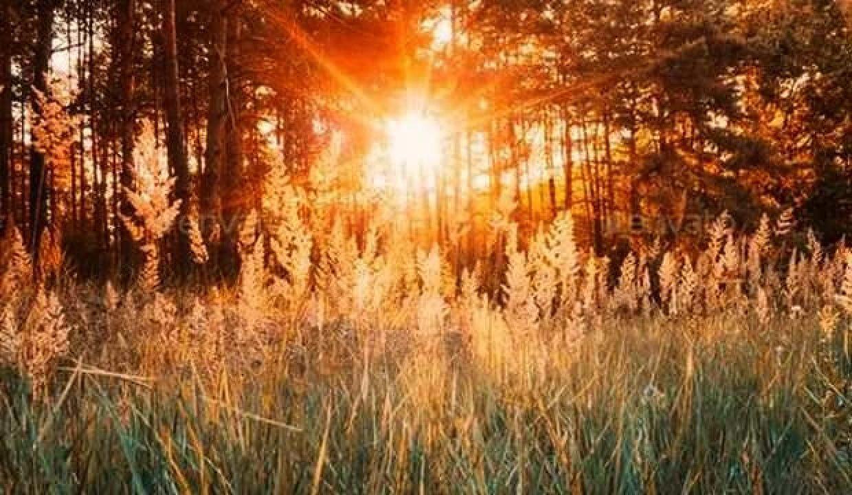 Pastırma sıcakları ne demek? Pastırma sıcakları ne kadar sürer 2021? Pastırma yazı hikayesi