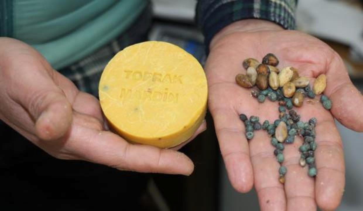 Kuraklıktan nasibini aldı! Üretimi durma noktasına geldi