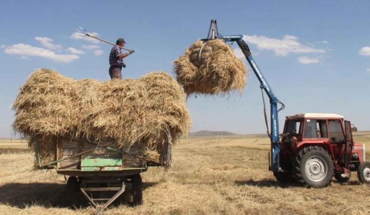 2022 mazot ve gübre desteği ne zaman verilecek? Çiftçilere Şubat ayı ödemesi kaç TL?