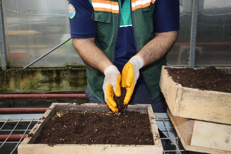 Ankara Gölbaşı’nda Ata tohumları toprakla buluştu