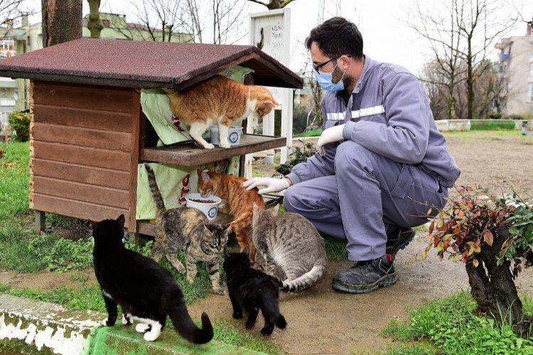 Bursa’da can dostlara ‘Yıldırım’ şefkati