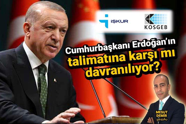 KOSGEB ve İŞKUR, Cumhurbaşkanı Erdoğan’ın talimatına karşı mı davranıyor?