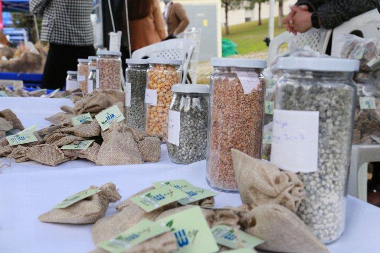 Balıkesir Edremit’in atalık tohumları İzmir’de