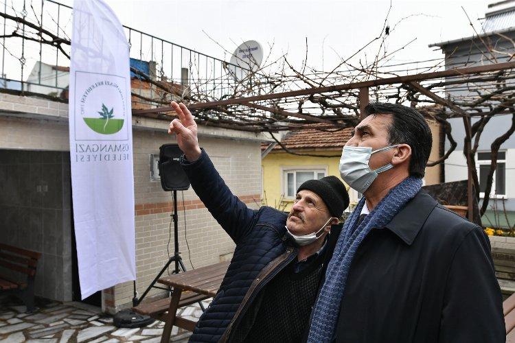 Bursa’da tarihi camiye Osmangazi hizmeti