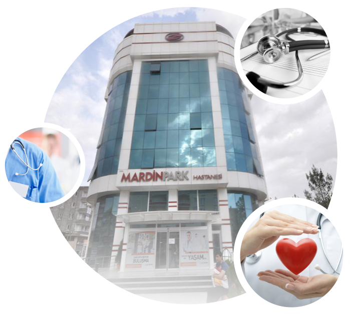 Mardin Park Hastanesi, Mardin Park Hastanesi kimindir, Mardin Park Hastanesi sahibi kimdir?