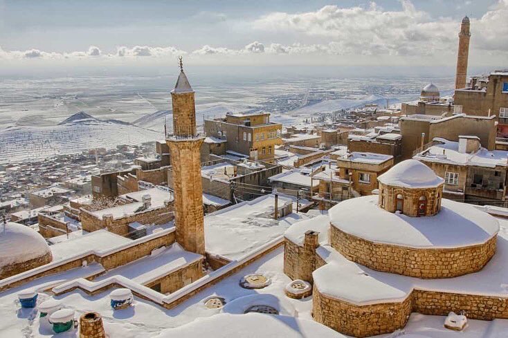 WhatsApp Image 2023-02-03 at 21.20.54