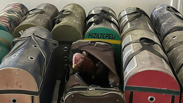 Mardin’de horoz dövüştüren 38 kişiye 154 bin lira ceza