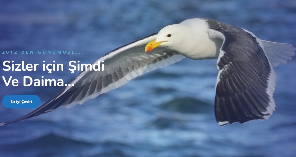 Türkçe Hollandaca çeviri ve Hollanda dili çeviri