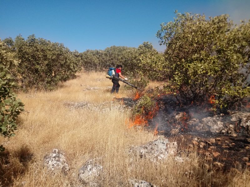 WhatsApp Image 2023-08-13 at 19.33.41