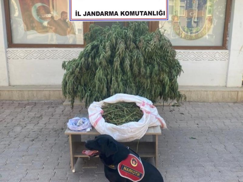 WhatsApp Image 2023-08-15 at 18.01.56