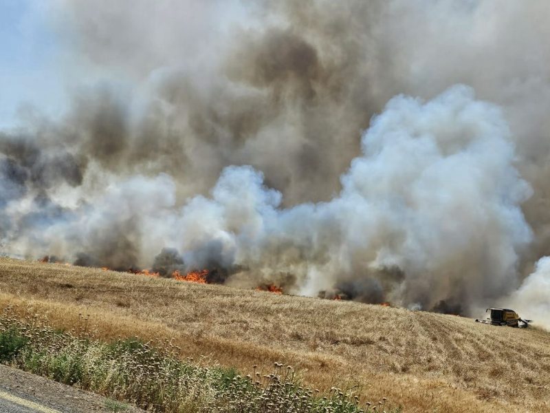 WhatsApp-Gorsel-2025-06-16-saat-11.42.06_96de405a