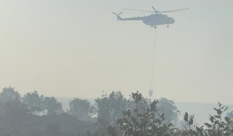 Mardin’de orman yangını kontrol altına alındı
