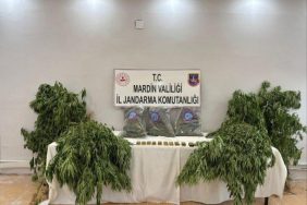 WhatsApp Image 2025-08-12 at 09.13.02