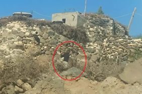 WhatsApp Image 2025-10-31 at 15.34.26