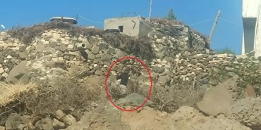 WhatsApp Image 2025-10-31 at 15.34.26