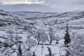 WhatsApp Image 2026-01-14 at 12.05.06